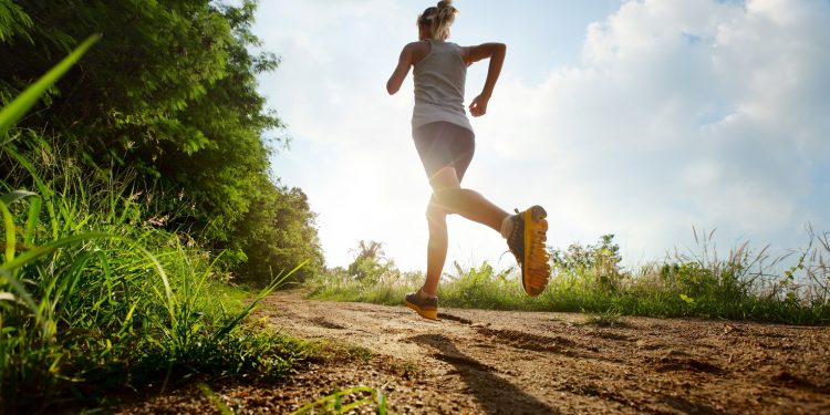 Beef Liver: The Ultimate Workout Supplement