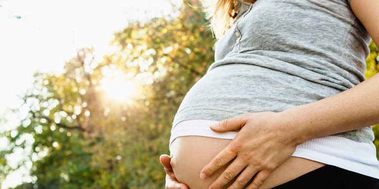 Organ Meats & Fertility When Trying to Get Pregnant