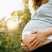 Organ Meats & Fertility When Trying to Get Pregnant