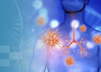 Organ Meats For Immunity Support