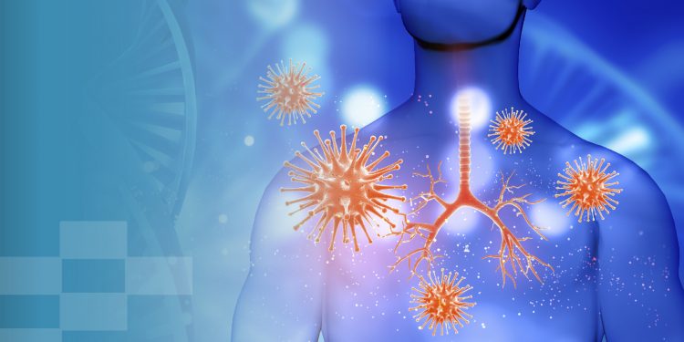 Organ Meats For Immunity Support