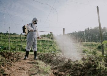 The benefits of going glyphosate-free