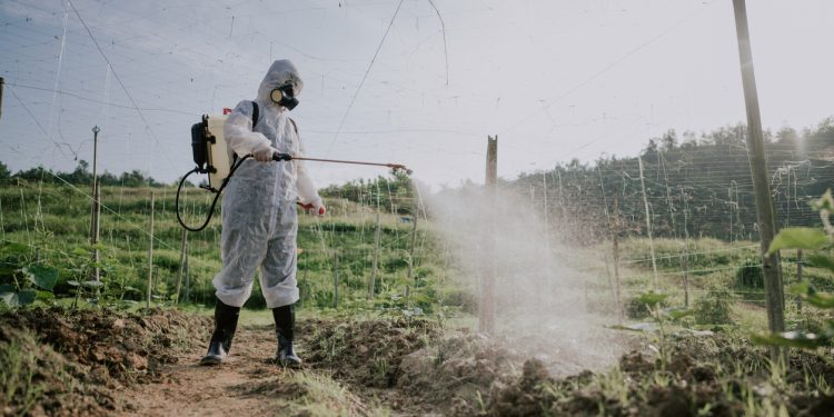 The benefits of going glyphosate-free