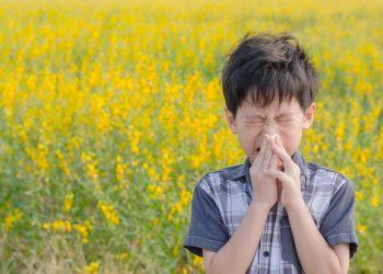 Beef organs helping a boy with histamine allergy