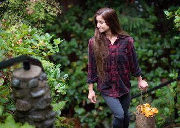 Reishi Mushroom Benefits & Uses
