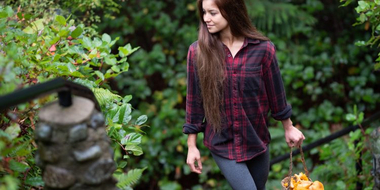 Reishi Mushroom Benefits & Uses