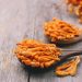 Reishi Mushroom Benefits & Uses